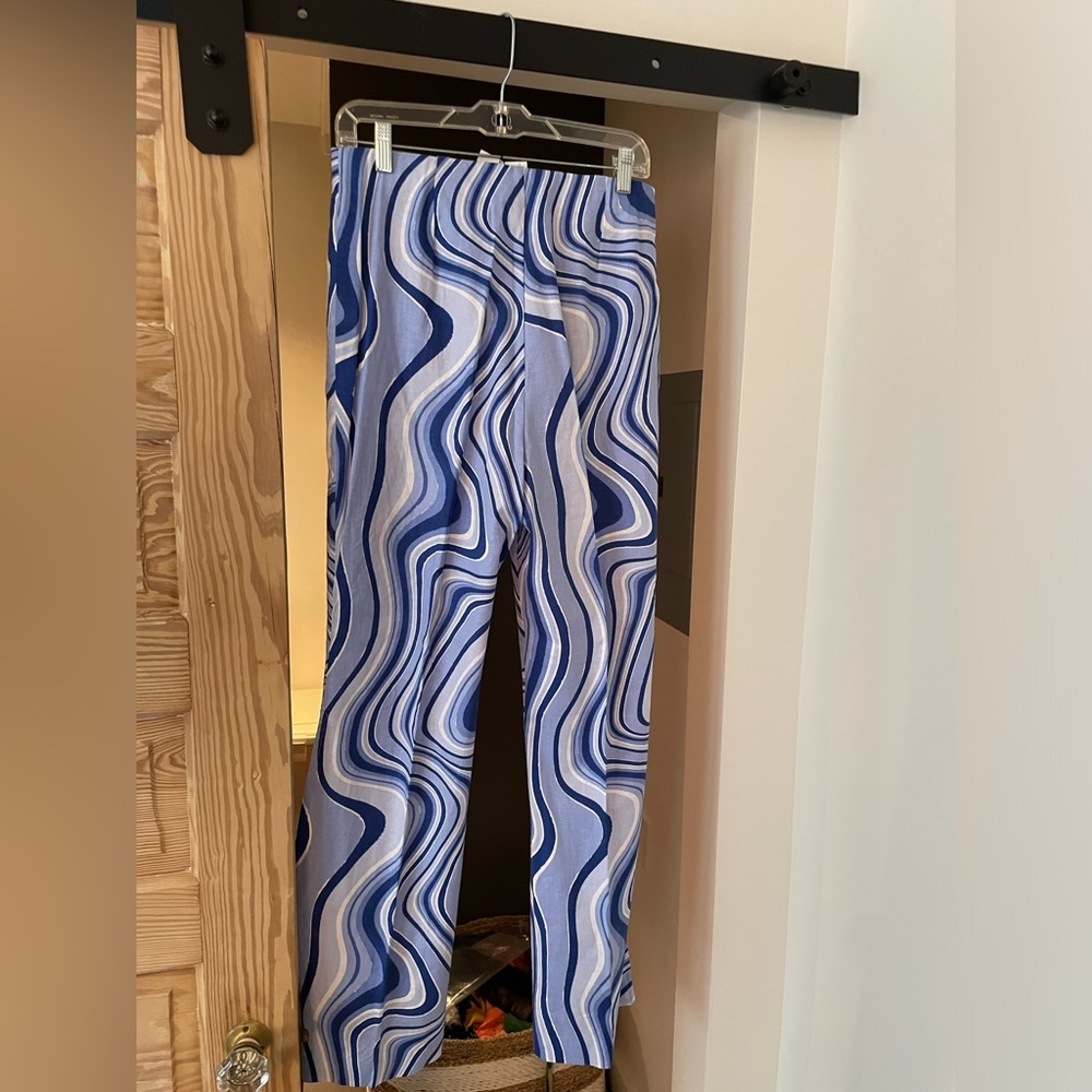 Zara funky pants